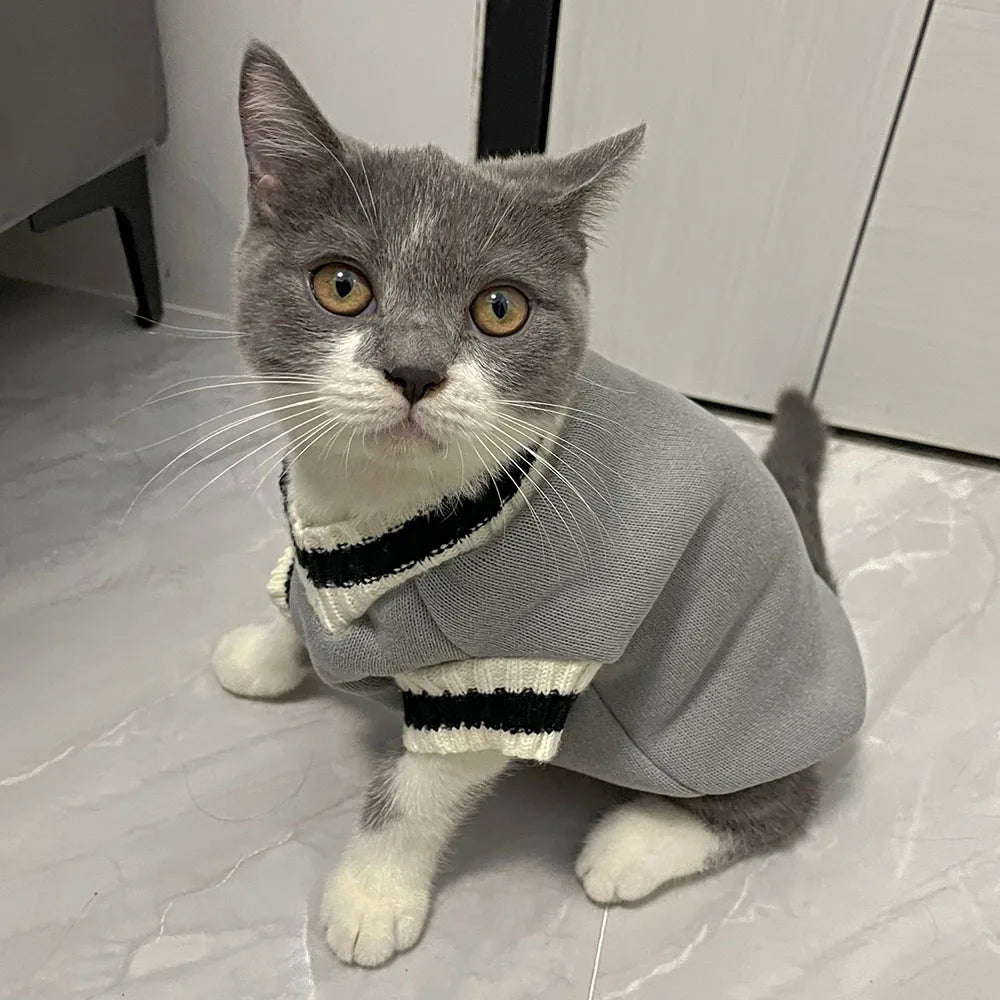 Pet Clothes Cat Solid Costume Winter Christmas Sweater for Small Dogs Kitten Pullover Puppy Cat Vest Clothes Kitty Jacket Outfit